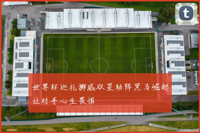 世界杯巡礼挪威双星助阵黑马崛起让对手心生畏惧