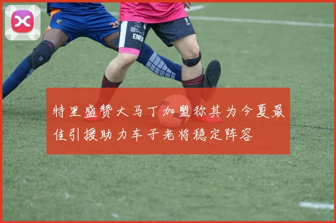特里盛赞大马丁加盟称其为今夏最佳引援助力车子老将稳定阵容